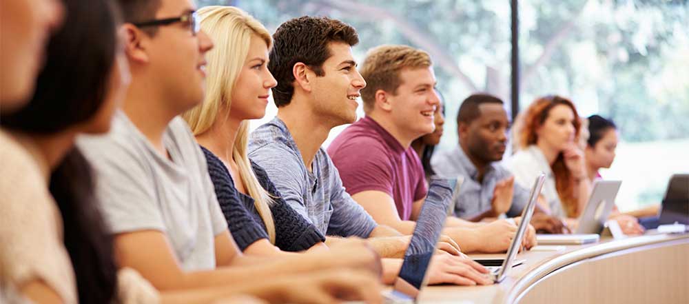 higher education